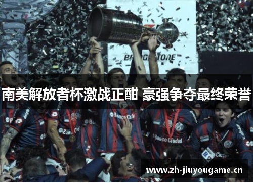 南美解放者杯激战正酣 豪强争夺最终荣誉